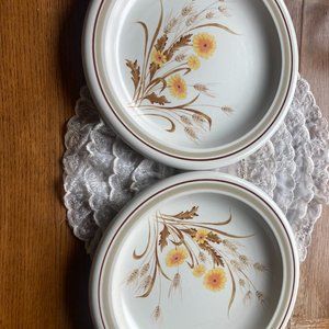 Mikasa Harvest Moon Serving Platter